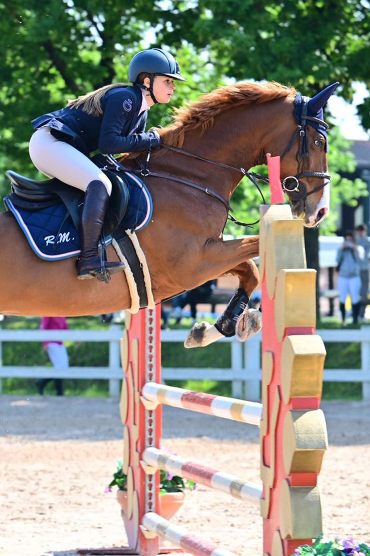 Maschio Sauro HIPSTER D' ESBERIT AA venduto
