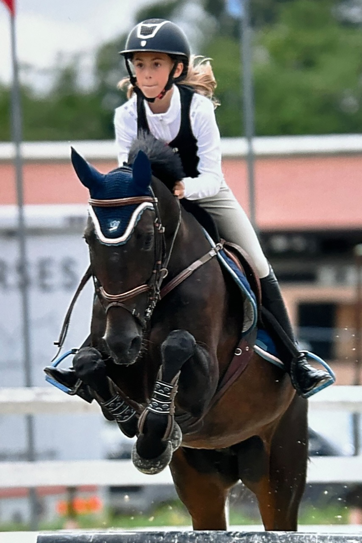 Sella Italiano femmina Baio STARFREE scuola