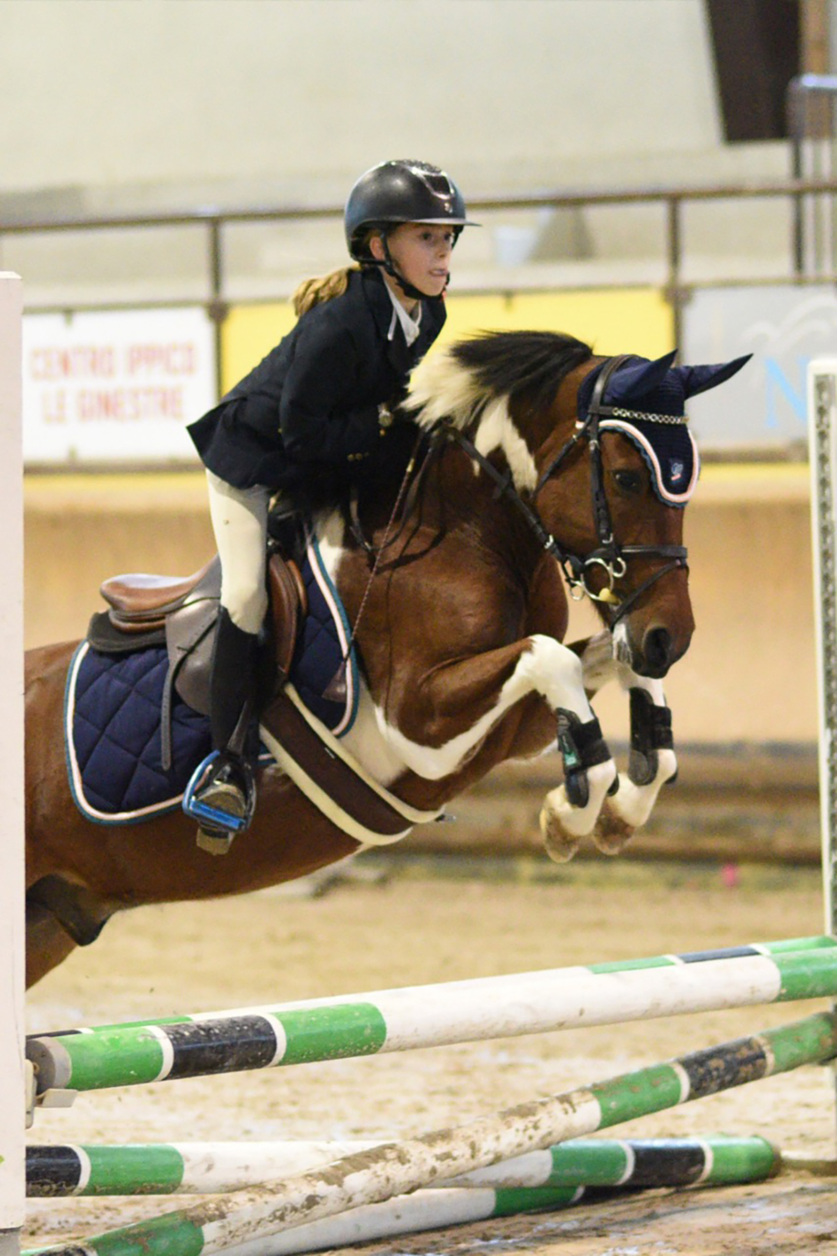 Maschio pezzato TOPOGIGIO fida scuola