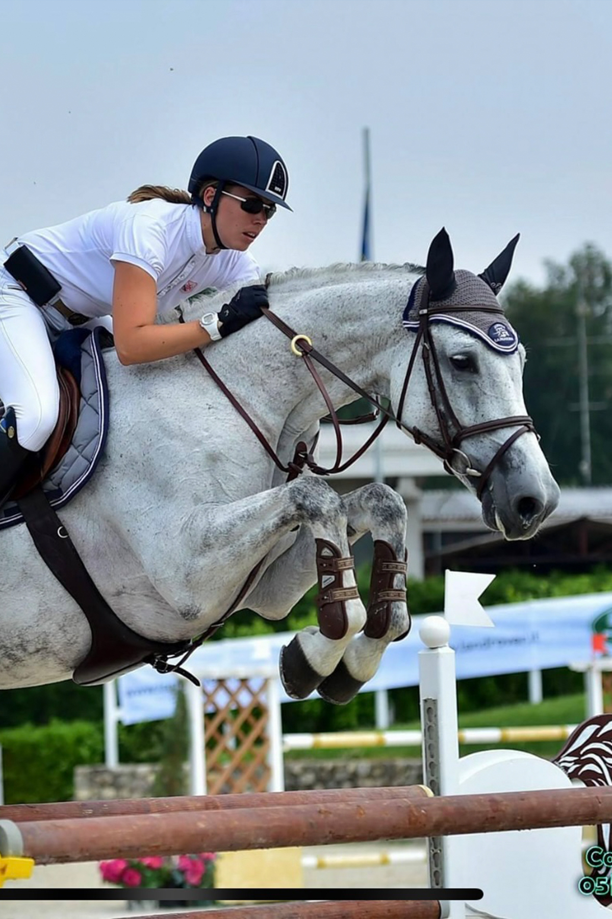 Holsteiner femmina grigio VARONESS II scuola