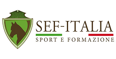 logo-sef